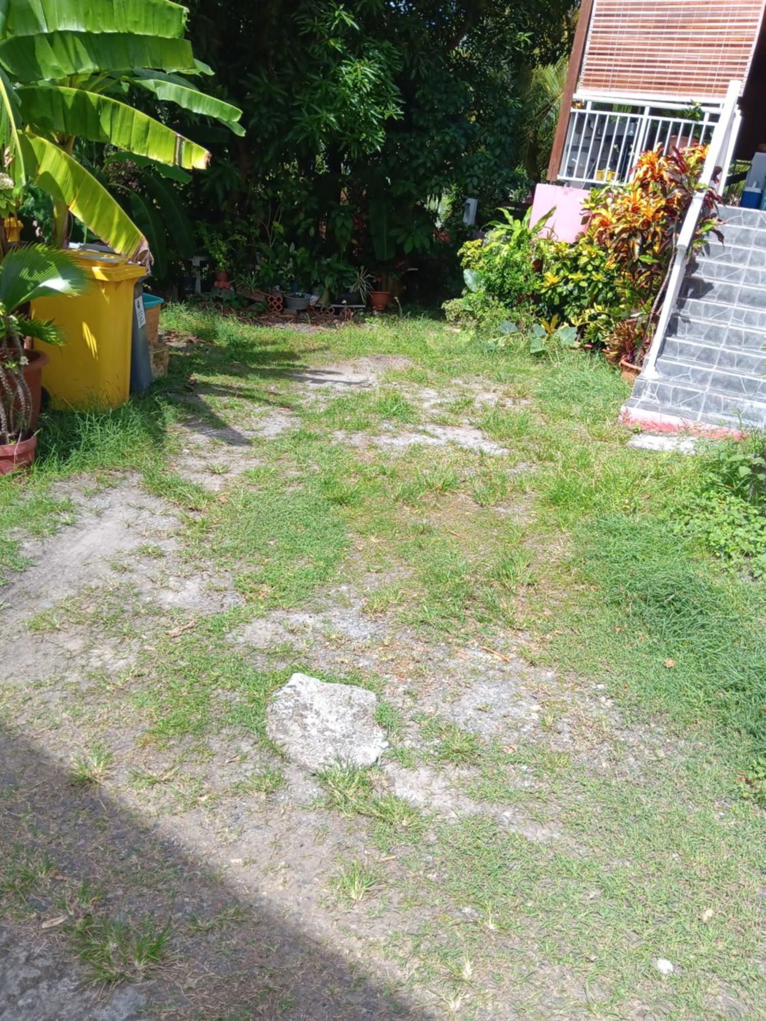 圣安娜Sous Le Manguier公寓 外观 照片